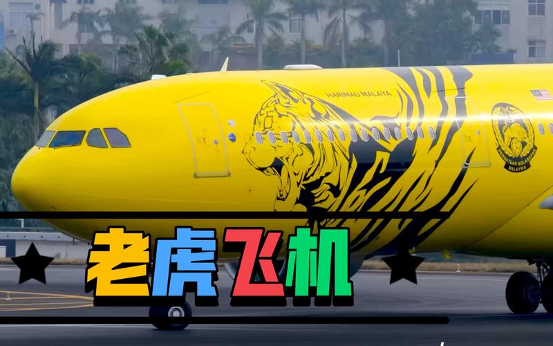 PP电子三只老虎官方网站全新上线畅享精彩游戏体验